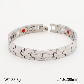 2B2005835biib-763  Titanium  Stainless Steel Bracelet