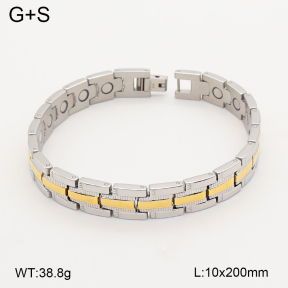 2B2005836vina-763  Titanium  Stainless Steel Bracelet