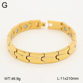 2B2005839vina-763  Titanium  Stainless Steel Bracelet
