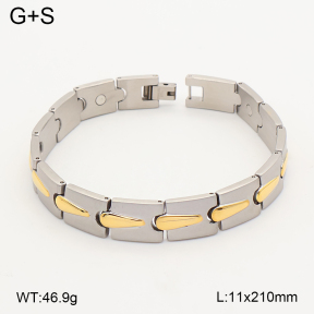 2B2005840vina-763  Titanium  Stainless Steel Bracelet