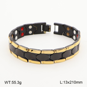 2B2005842ajlv-763  Titanium  Stainless Steel Bracelet