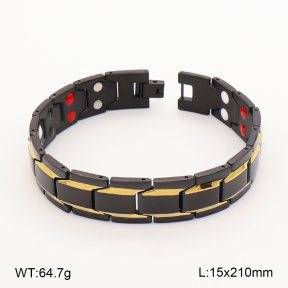 2B2005843ajlv-763  Titanium  Stainless Steel Bracelet