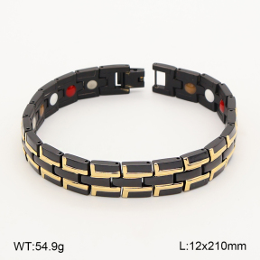 2B2005844ajlv-763  Titanium  Stainless Steel Bracelet