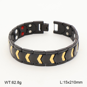 2B2005845ajlv-763  Titanium  Stainless Steel Bracelet