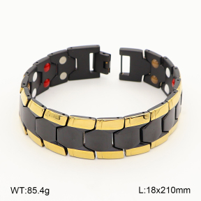 2B2005846ajlv-763  Titanium  Stainless Steel Bracelet