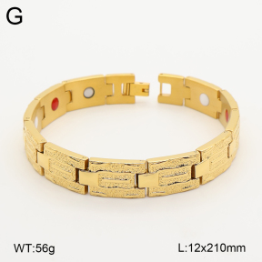2B2005848vina-763  Titanium  Stainless Steel Bracelet
