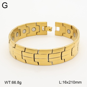 2B2005849vina-763  Titanium  Stainless Steel Bracelet