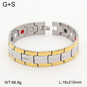 2B2005850vina-763  Titanium  Stainless Steel Bracelet