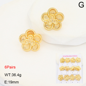 2E2007068vhmo-446  Stainless Steel Earrings