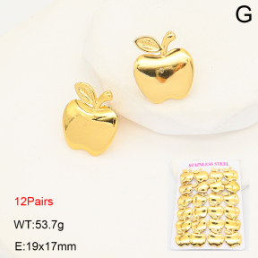 2E2007069bihm-446  Stainless Steel Earrings