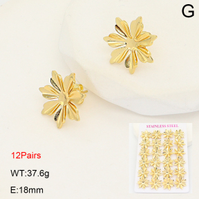 2E2007070ajjm-446  Stainless Steel Earrings