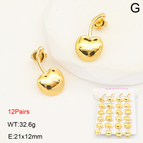 2E2007071bihm-446  Stainless Steel Earrings