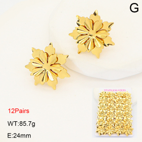 2E2007072ajjm-446  Stainless Steel Earrings