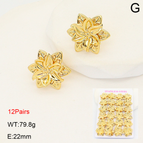 2E2007073ajjm-446  Stainless Steel Earrings