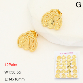 2E2007074bihm-446  Stainless Steel Earrings