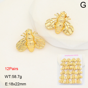 2E2007075bihm-446  Stainless Steel Earrings