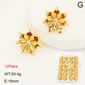 2E2007076ajjm-446  Stainless Steel Earrings
