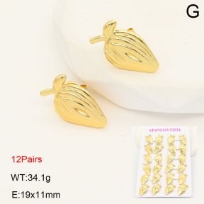 2E2007078bihm-446  Stainless Steel Earrings