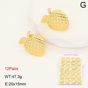 2E2007079bihm-446  Stainless Steel Earrings