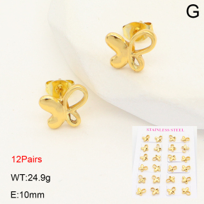 2E2007080vhpi-446  Stainless Steel Earrings