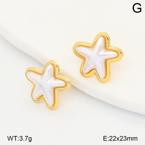 2E3004095aajo-446  Stainless Steel Earrings
