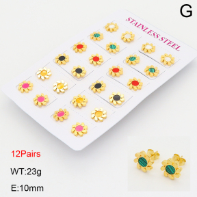 2E4005111ajvb-446  Stainless Steel Earrings