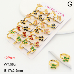 2E4005116amaa-446  Stainless Steel Earrings