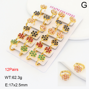 2E4005117amaa-446  Stainless Steel Earrings