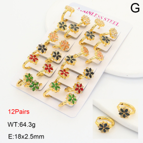 2E4005118amaa-446  Stainless Steel Earrings