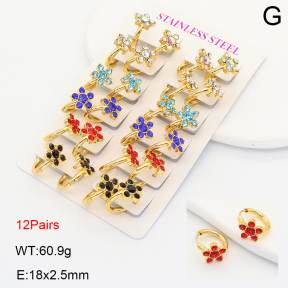 2E4005119amaa-446  Stainless Steel Earrings
