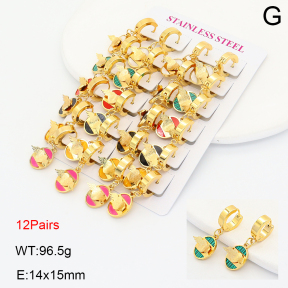 2E4005120akoa-446  Stainless Steel Earrings