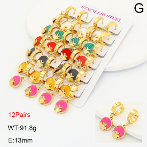 2E4005121akoa-446  Stainless Steel Earrings