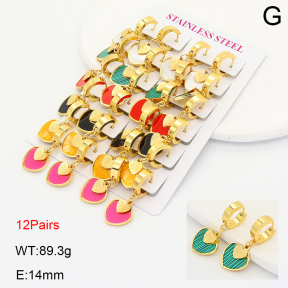 2E4005123akoa-446  Stainless Steel Earrings