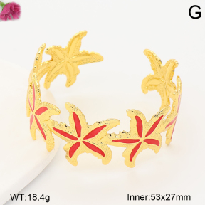 F2BA30171bbml-J158  Fashion Bangle