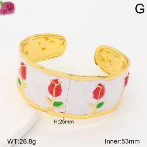 F2BA30176bbml-J158  Fashion Bangle