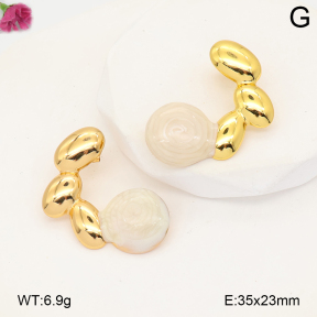 F2E301304vail-J191  Fashion Earrings