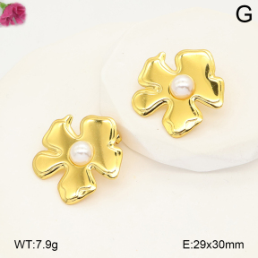 F2E301314vail-J191  Fashion Earrings