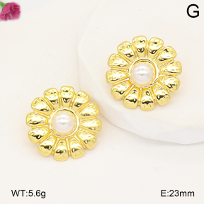 F2E301323vail-J191  Fashion Earrings