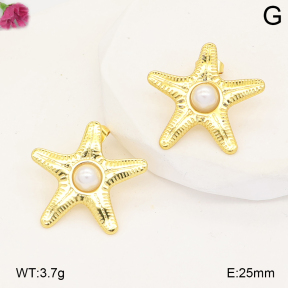 F2E301330vail-J191  Fashion Earrings