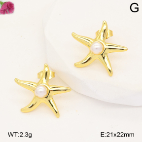 F2E301331vail-J191  Fashion Earrings