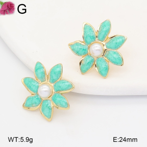 F2E301338avja-J158  Fashion Earrings