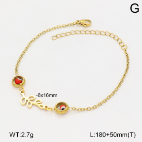 2B3004599ablb-350  Stainless Steel Bracelet