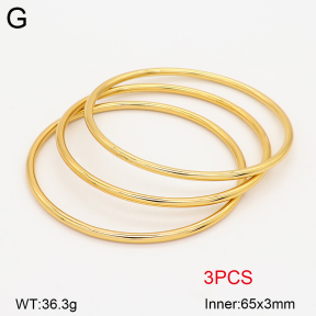2BA202680vbpb-434  Stainless Steel Bangle