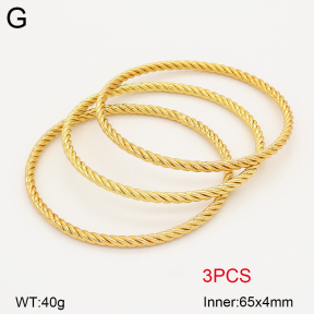 2BA202681vbpb-434  Stainless Steel Bangle