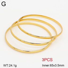 2BA202683vbpb-434  Stainless Steel Bangle