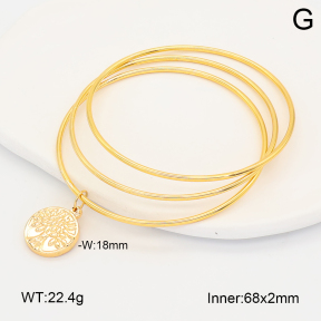 2BA202687abol-212  Stainless Steel Bangle