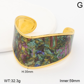 2BA300687ahlv-434  Stainless Steel Bangle