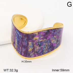 2BA300688ahlv-434  Stainless Steel Bangle