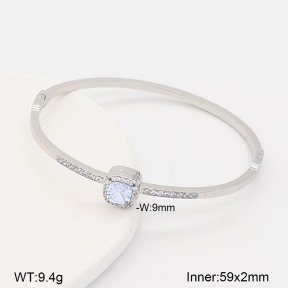2BA402918bhbl-434  Stainless Steel Bangle