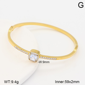 2BA402919vhhl-434  Stainless Steel Bangle